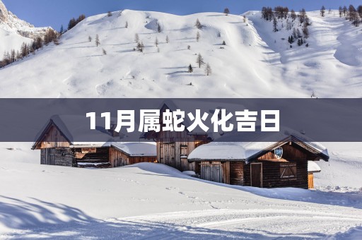 11月属蛇火化吉日