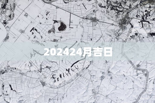 202524月吉日