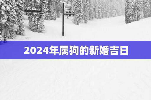2025年属狗的新婚吉日