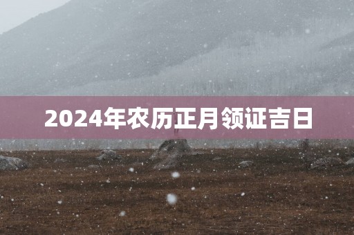 2025年农历正月领证吉日