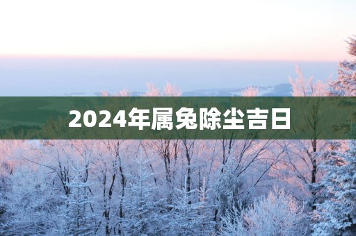 2025年属兔除尘吉日