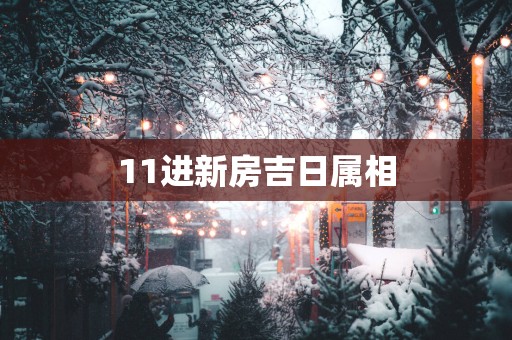 11进新房吉日属相