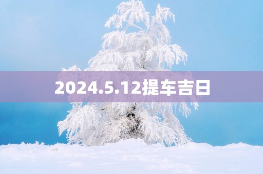 2025.5.12提车吉日