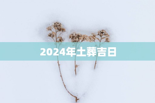 2025年土葬吉日
