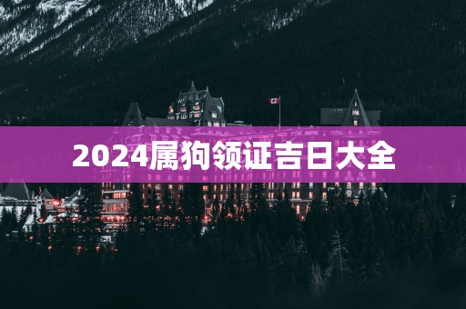 2025属狗领证吉日大全