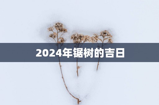 2025年锯树的吉日