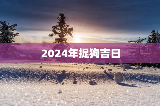 2025年捉狗吉日