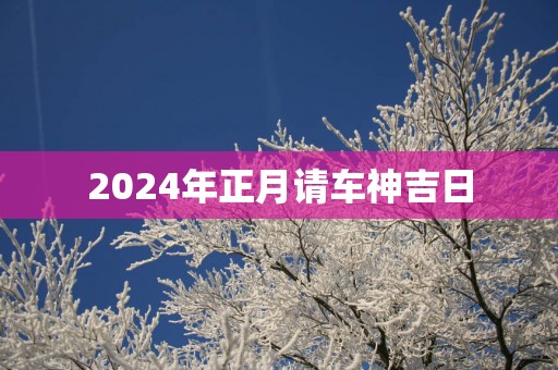 2025年正月请车神吉日