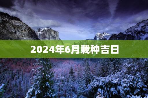 2025年6月栽种吉日
