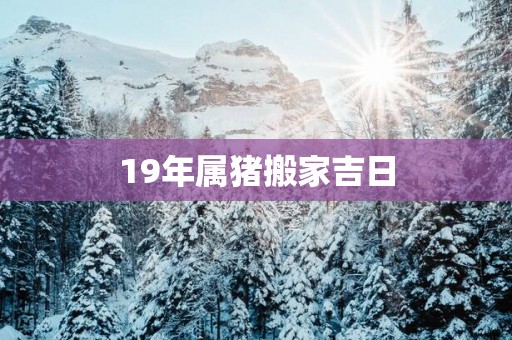 19年属猪搬家吉日