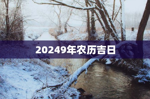 20259年农历吉日