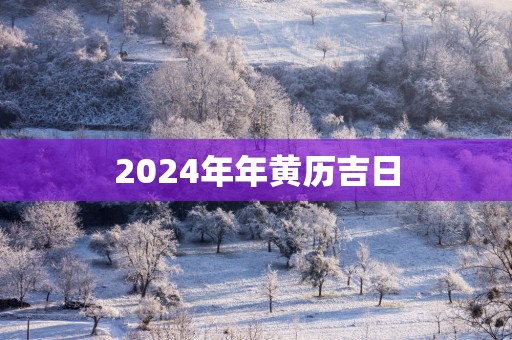 2025年年黄历吉日