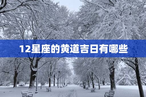 12星座的黄道吉日有哪些