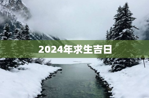 2025年求生吉日