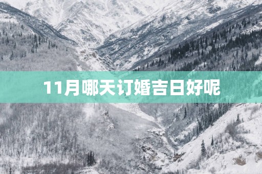 11月哪天订婚吉日好呢