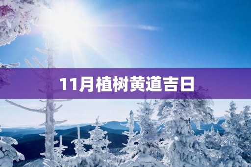 11月植树黄道吉日