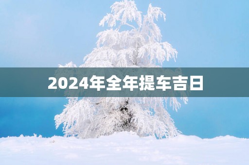 2025年全年提车吉日