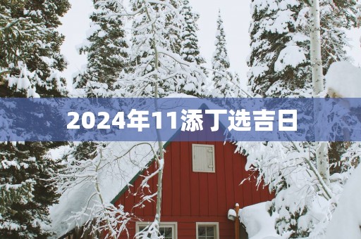 2025年11添丁选吉日