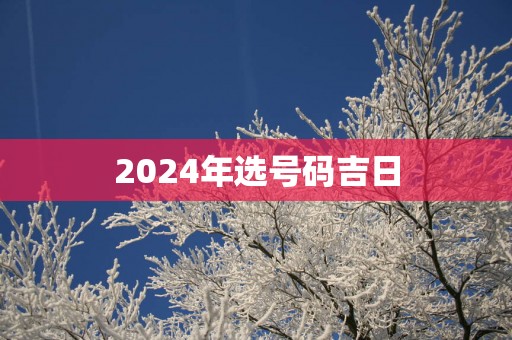 2025年选号码吉日 2025年选号码吉日