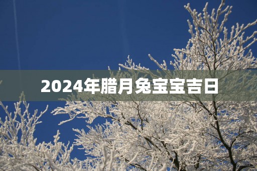 2025年腊月兔宝宝吉日