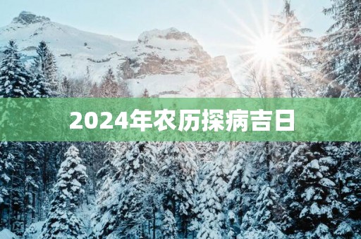 2025年农历探病吉日