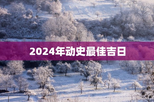 2025年动史最佳吉日