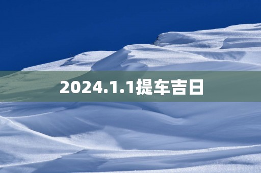 2025.1.1提车吉日