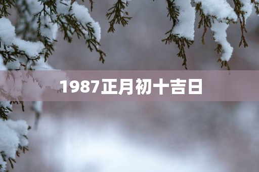 1987正月初十吉日