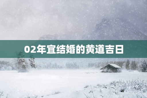 02年宜结婚的黄道吉日