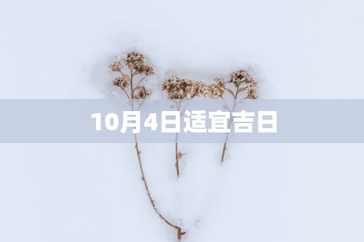 10月4日适宜吉日