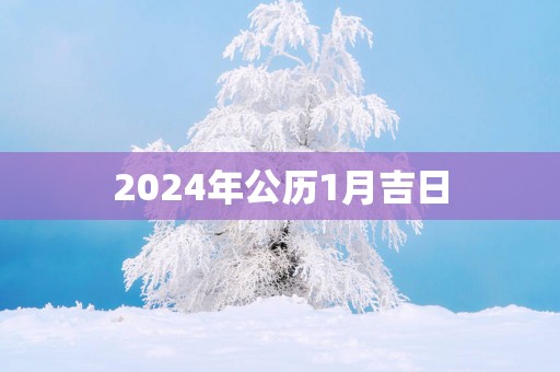 2025年公历1月吉日