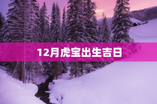 12月虎宝出生吉日