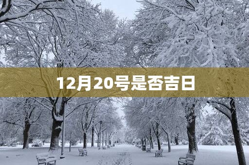 12月20号是否吉日