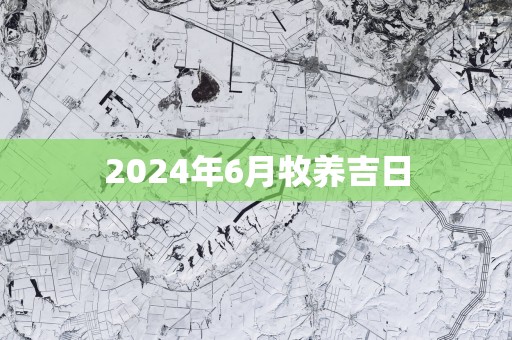 2025年6月牧养吉日