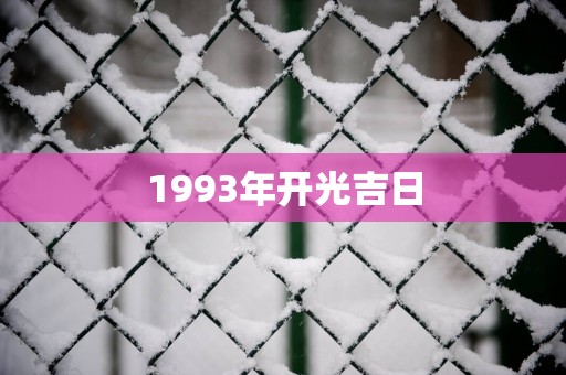 1993年开光吉日