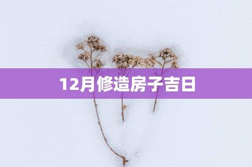 12月修造房子吉日