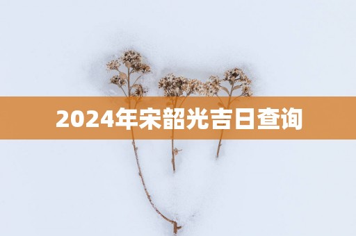 2025年宋韶光吉日查询
