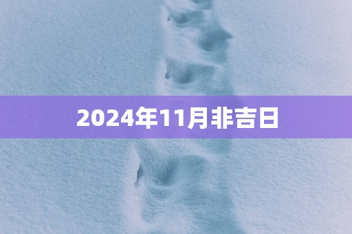 2025年11月非吉日