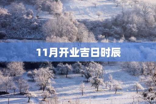 11月开业吉日时辰