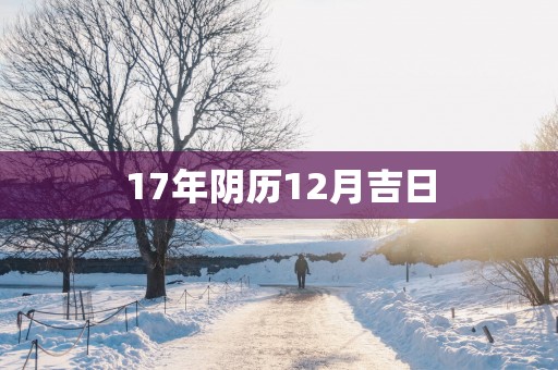 17年阴历12月吉日