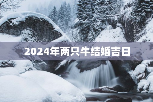 2025年两只牛结婚吉日