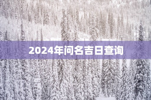 2025年问名吉日查询