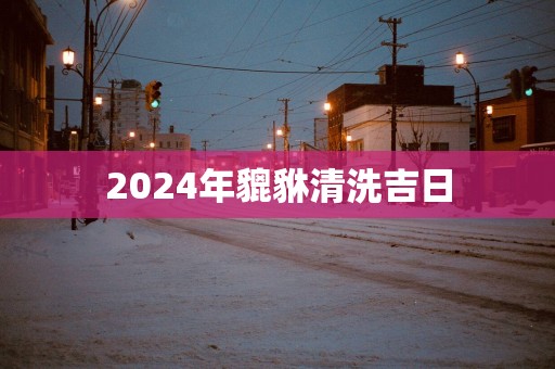 2025年貔貅清洗吉日