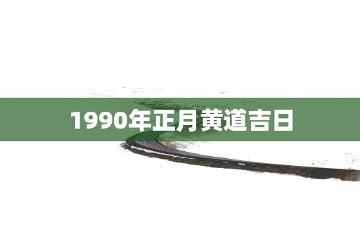 1990年正月黄道吉日