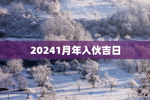 20251月年入伙吉日