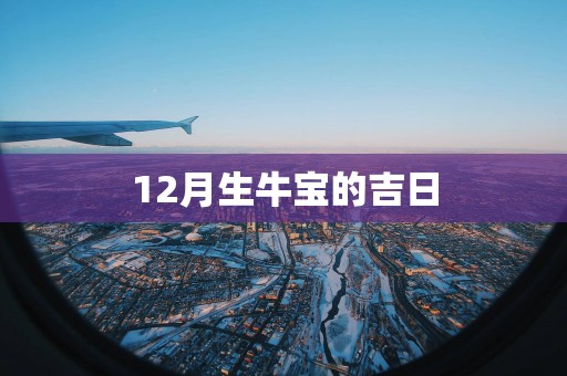 12月生牛宝的吉日