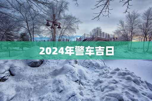 2025年警车吉日