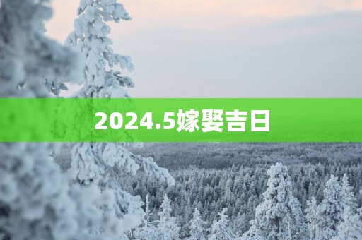 2025.5嫁娶吉日