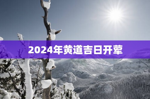 2025年黄道吉日开荤