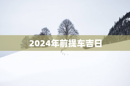 2025年前提车吉日